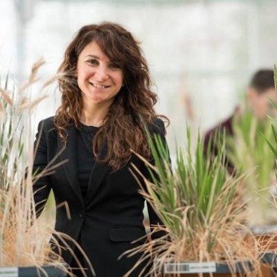 Professor of Bioinformatics, University of Nottingham, Bioinformatics, AMR, Machine Learning, AI, infectious diseases