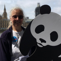 Tessa Henghes (@teshen) 's Twitter Profile Photo