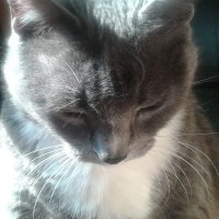 ines gerarde (@igerarde) 's Twitter Profile