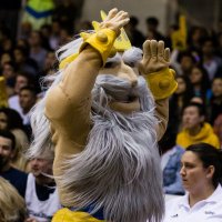 King Triton (@ucsdkingtriton) 's Twitter Profile