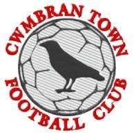 CwmbranTownAFC's profile picture. 