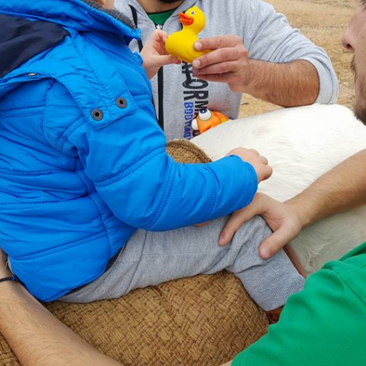 Hippo_Ekali's profile picture. Ιπποθεραπεία Εκάλη