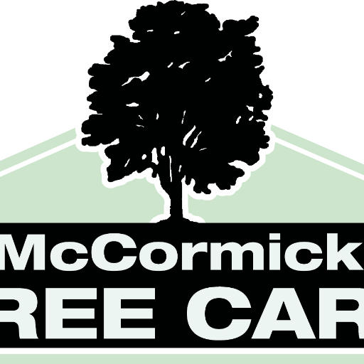 We offer a wide variety of tree services including tree care, removal, and trimming.