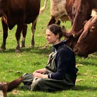 Emma's Organic Dairy(@RawCowsMilk) 's Twitter Profile Photo