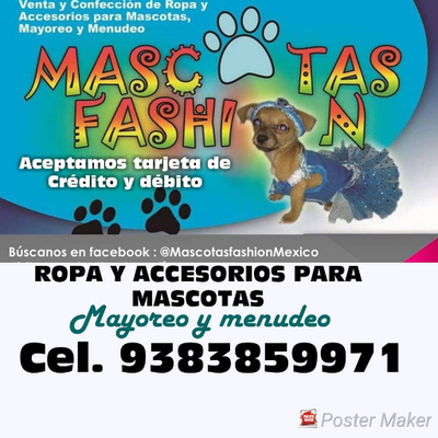 Mascotas Fashion (@MFMiliLuna) Twitter