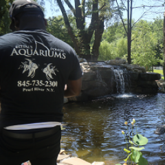 We design, #build, install and #service fresh & #saltwater #aquariums. We offer a wide variety of #tropicalfish, supplies & equipment. Truly a one stop shop.