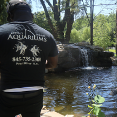 BeitalsExoticAquariums