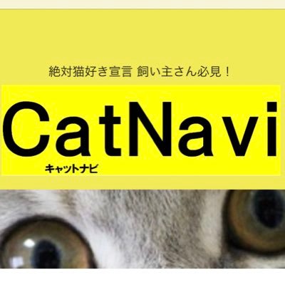 絶対猫好き宣言！飼い主さん必見 https://t.co/rasrGNRBjR