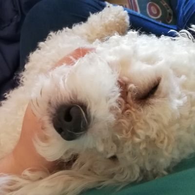 TheAZBrand's profile picture. Have a nice day c:
btw #valkyraesupremacy