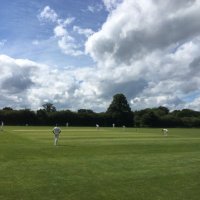 Alex T (@alex_try) 's Twitter Profile