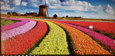 KayTayl18203124's profile picture. Partner with best friend, mother to 3 amazing young people and supporting clean water projects and defenders of our democracy