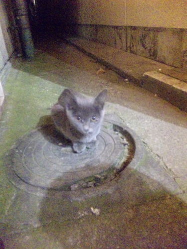 prst_cb47's profile picture. 