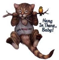 murphy_laws's profile picture. 