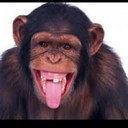 Steven Lay - @i_sling_poo - Twitter