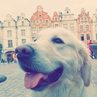 Esteban (@tetebang) 's Twitter Profile