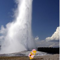 Yellowstone Supervolcano 2020(@IgneousAF) 's Twitter Profile Photo