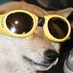 gontani (@gontani) Twitter profile photo gontani (@gontani) Twitter profile photo