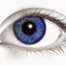 shmuel__'s profile picture. 