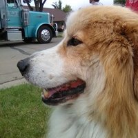 Gord (@gord42905566) 's Twitter Profile