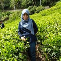 HazwaniWanie6's profile picture. Hazwani wanie@salwani1