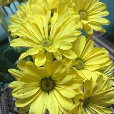 kdoh1969's profile picture. Tour guide to the obvious