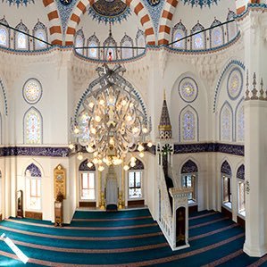 21xDh6zQfHY55mT's profile picture. 