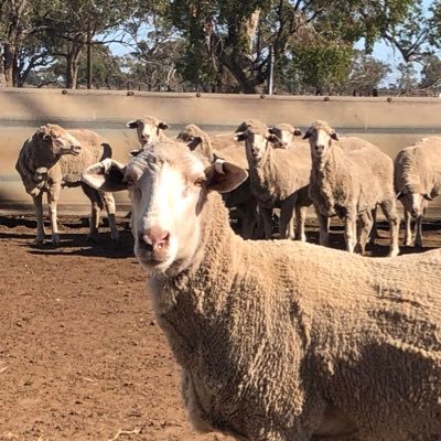 JBTancred's profile picture. 