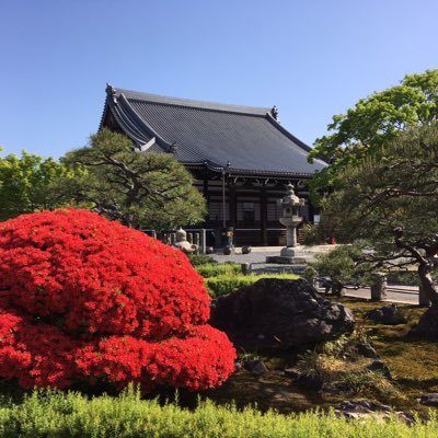 日蓮宗 本山 妙覺寺の公式アカウントです。 永和4年(1378)創建。非公開寺院。 ☆春秋の特別拝観を行っております。 御首題・御朱印は随時寺務所にて受付。 (9:00〜16:00) ※コメントは返信致しかねます。 Tel : 075-441-2802 京都府京都市上京区下清蔵口町135