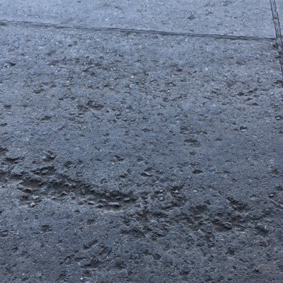 denis72772140's profile picture. Afaceri