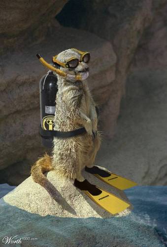 cool2bgeek's profile picture. 