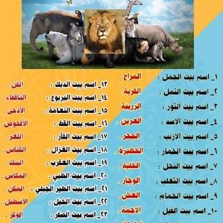سلام عطية Zozjcnzwulorrpt Twitter