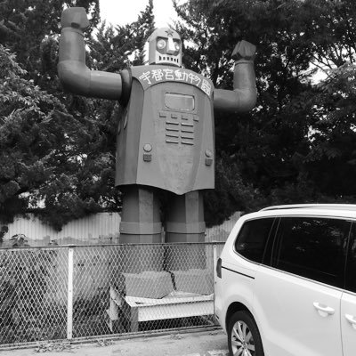 OWL50102855's profile picture. 