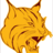 Bobcat_Robotics's profile image
