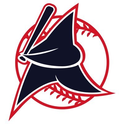 Louisiana STARS Baseball Academy