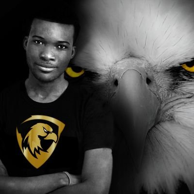 iamthe_eagle Profile Picture