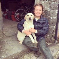 Eiry Williams (@eirywilliams) 's Twitter Profile Photo Eiry Williams (@eirywilliams) 's Twitter Profile Photo