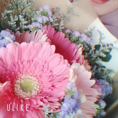 janessajane's profile picture. 