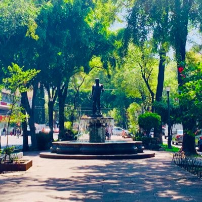 CUENTA DEDICADA AL CUIDADO DE LA COLONIA ROMA EN LA CIUDAD DE MEXICO