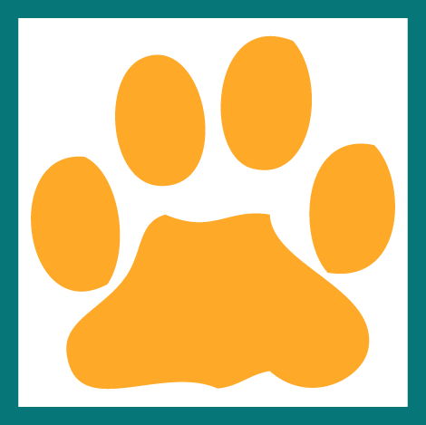 foreveryanimal's profile picture. Info, tips & news for animal lovers on pet care, nutrition, rights/welfare & reviews and lives of my 2 Great Danes, 3 cats, and 2 eclectus parrots.