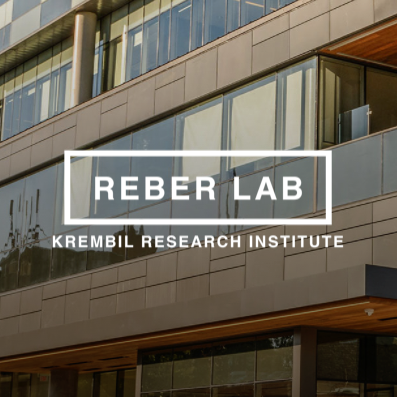 Studying Vision and related Behavior at Krembil Research Institute