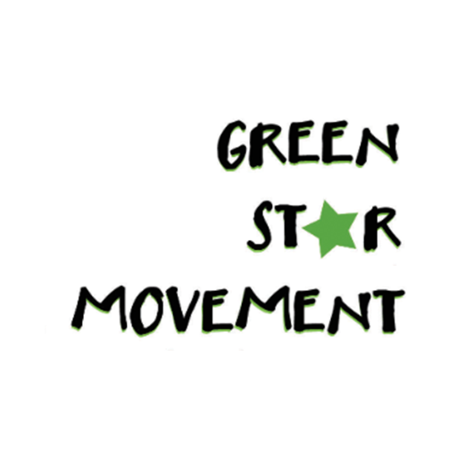 Green Star Movement inspires students and community members through the creation of public art.