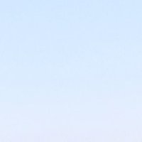 랑🍡 (@jellyhoony) 's Twitter Profile Photo 랑🍡 (@jellyhoony) 's Twitter Profile Photo