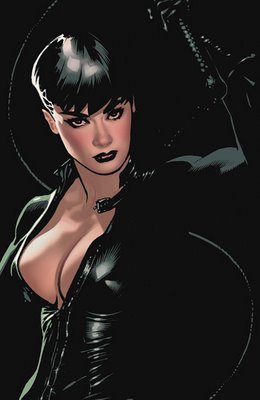 Este twitter é uma homenagem a minha personagem de HQ preferida! Se vc curte a Mulher Gato me siga! miauu