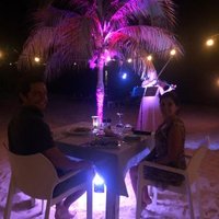 Topical Stings (@tropicalstrings) 's Twitter Profile