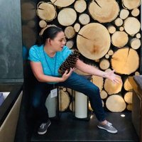Katie Holleran (@hollerankatie) Twitter profile photo