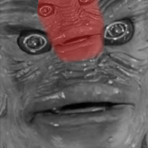 Ocean__Stand's profile picture. bwah