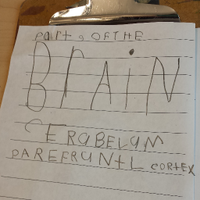 StoodleyLab (@labstoodley) 's Twitter Profile