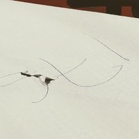 Ekonomia (@ekonomia6) 's Twitter Profile Photo