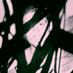 Tyler McCool (@tylermccool) Twitter profile photo Tyler McCool (@tylermccool) Twitter profile photo