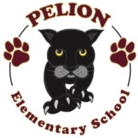 Pelion Elementary (@pes_panthernews) 's Twitter Profile